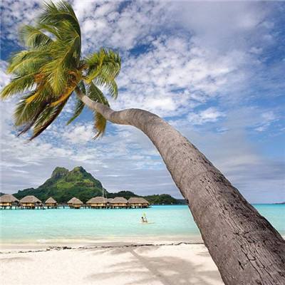 外交部：中英经贸绿色合作本质是互利共赢，不应受到泛政治化、泛安全化攻击